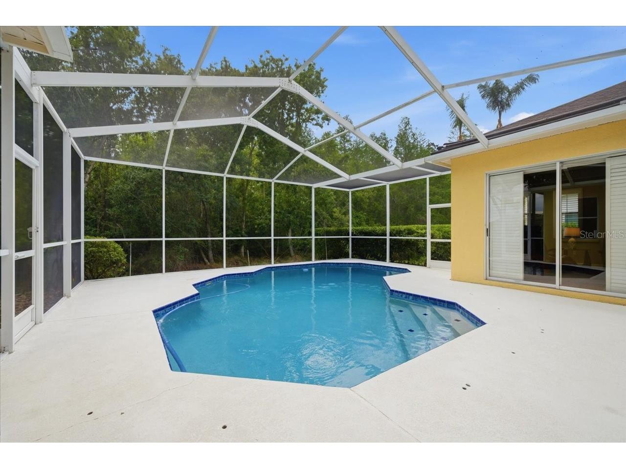 19106 Saint Laurent Drive Lutz FL 33558 TB8496188 image57