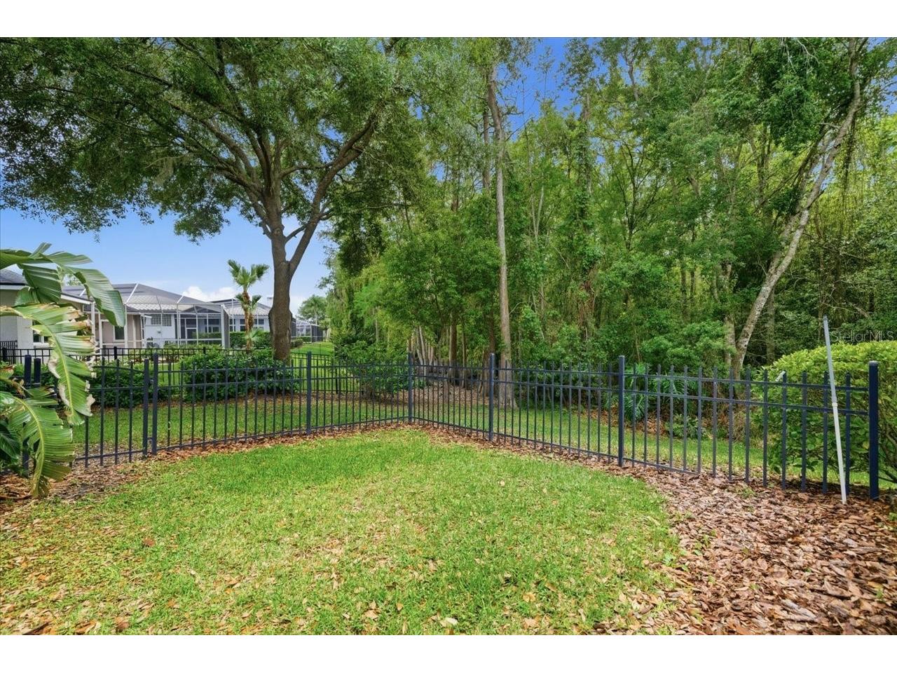 19106 Saint Laurent Drive Lutz FL 33558 TB8496188 image65