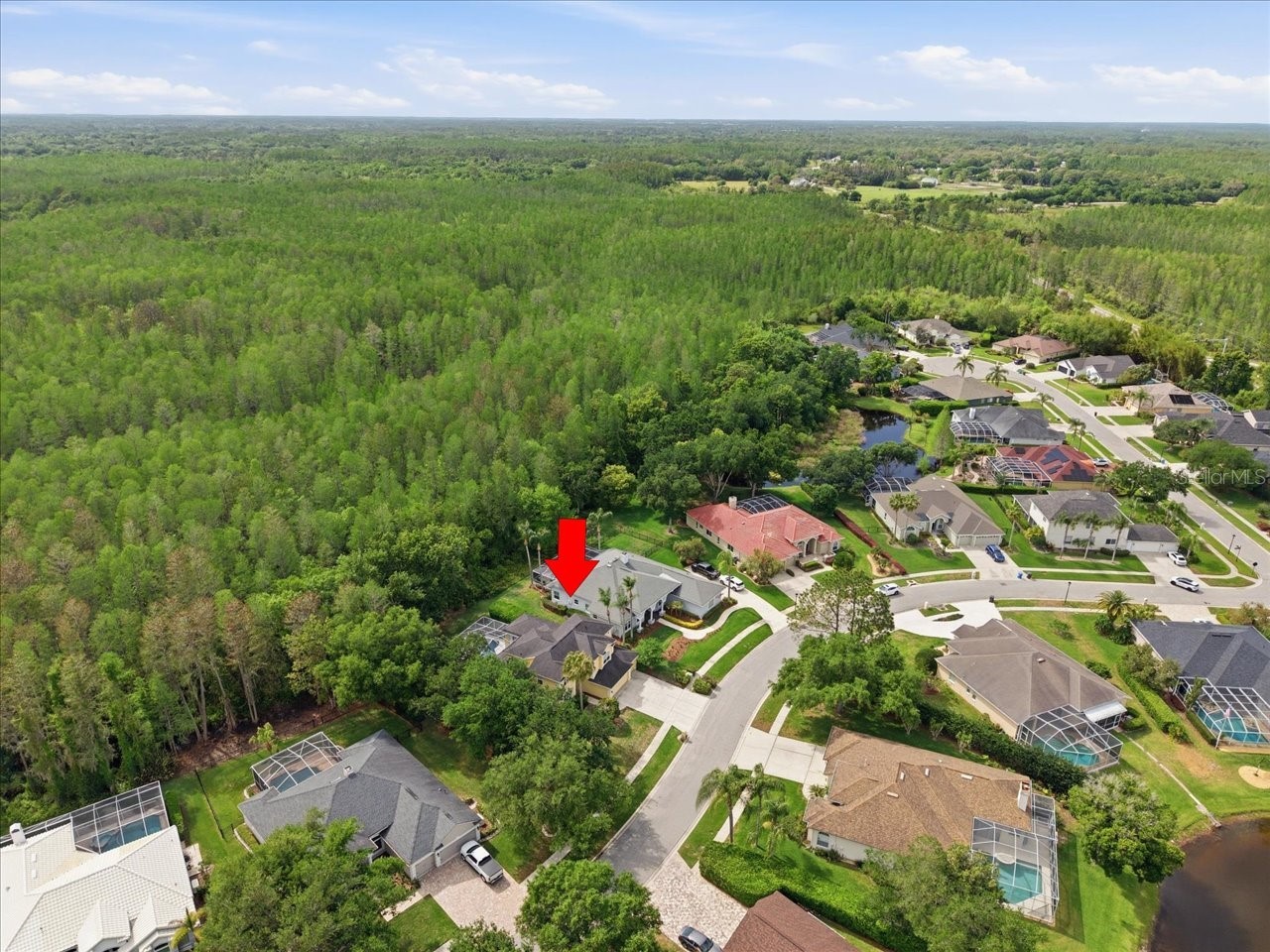 19106 Saint Laurent Drive Lutz FL 33558 TB8496188 image67