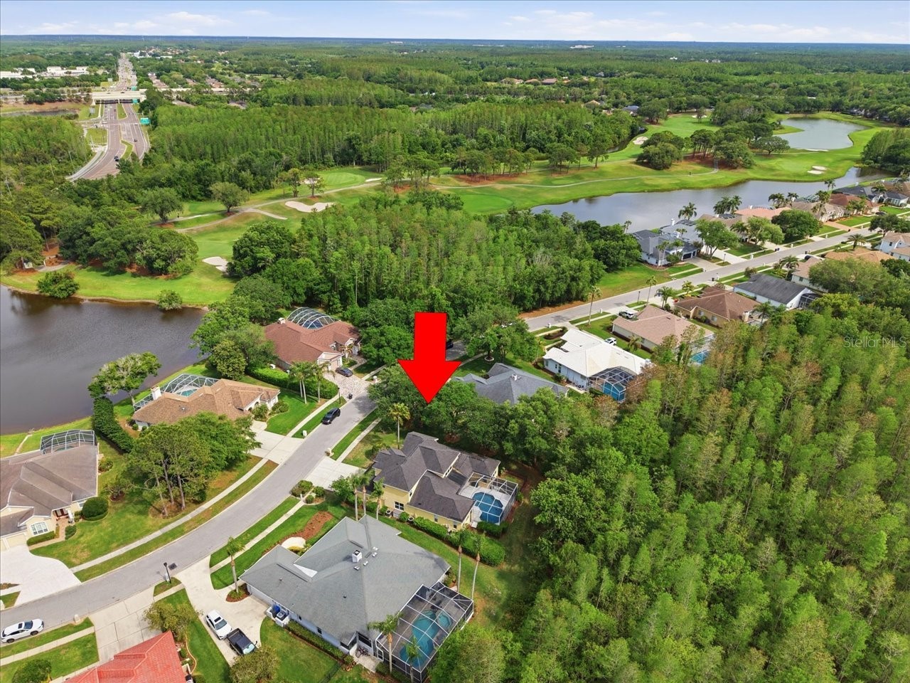 19106 Saint Laurent Drive Lutz FL 33558 TB8496188 image68