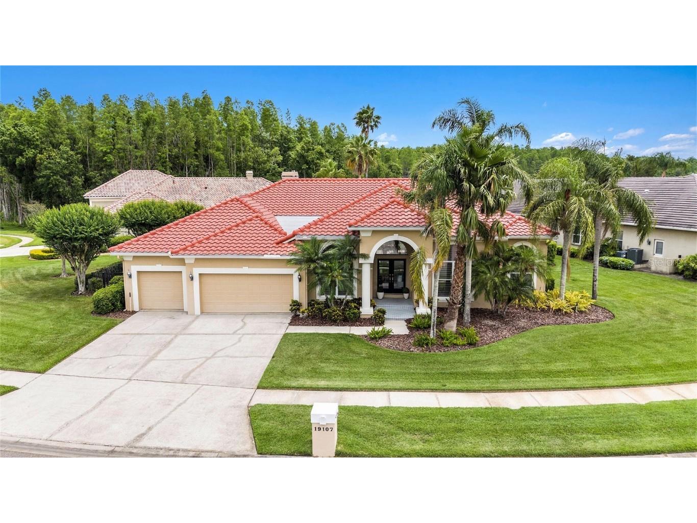 19107 Avenue Bayonnes Lutz FL 33558 TB8382846 image1