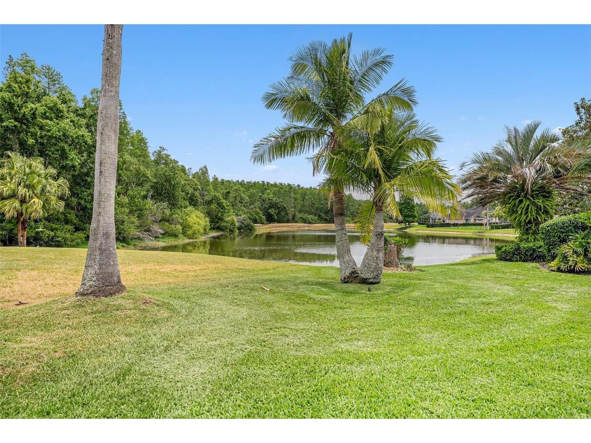 19107 Avenue Bayonnes Lutz FL 33558 TB8382846 image45