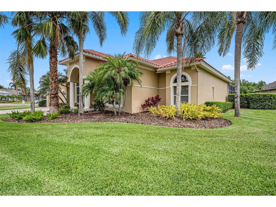19107 Avenue Bayonnes Lutz FL 33558 TB8382846 image47