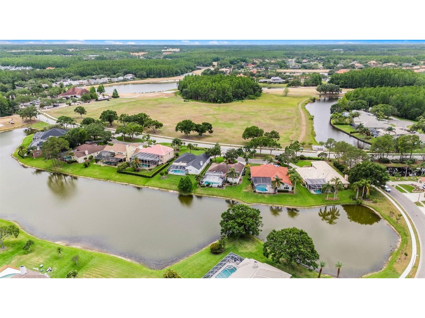 19107 Avenue Bayonnes Lutz FL 33558 TB8382846 image48