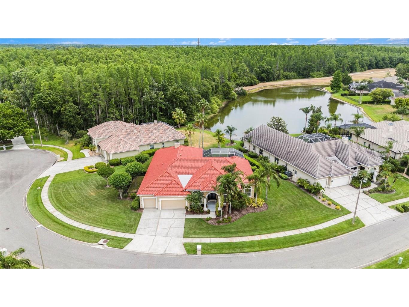 19107 Avenue Bayonnes Lutz FL 33558 TB8382846 image50