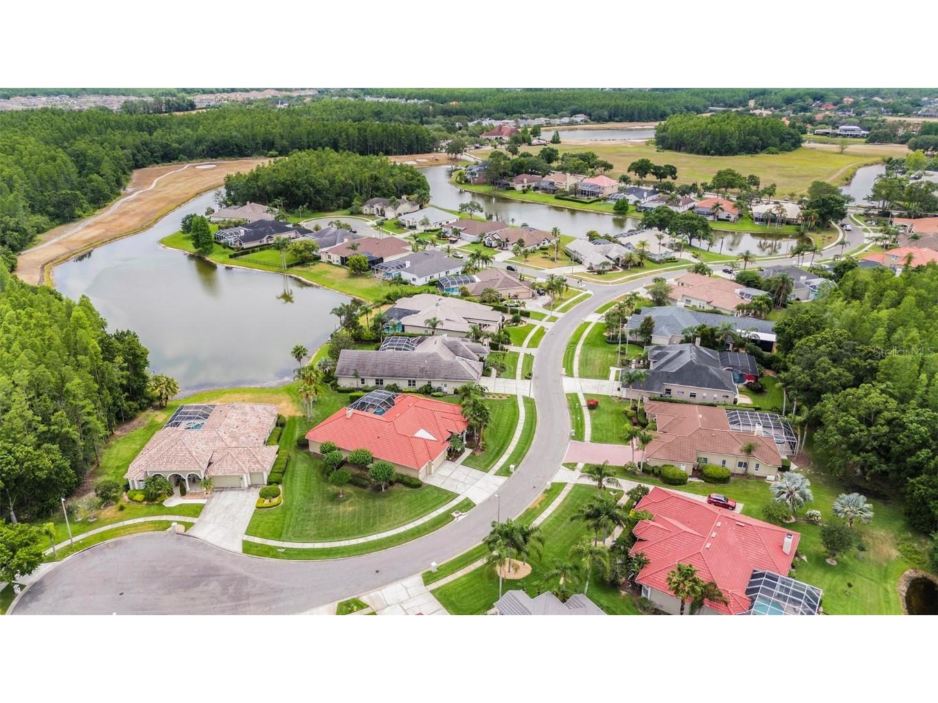 19107 Avenue Bayonnes Lutz FL 33558 TB8382846 image51