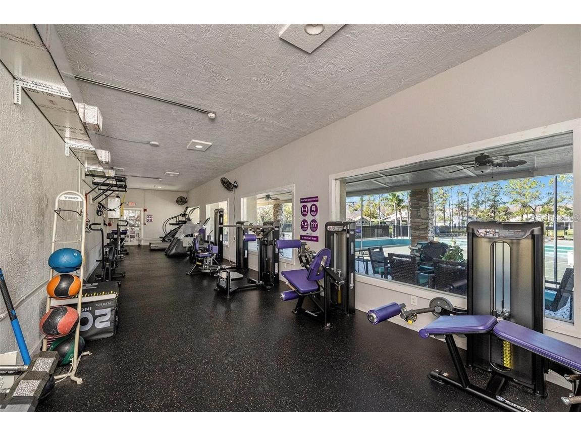 19107 Avenue Bayonnes Lutz FL 33558 TB8382846 image54