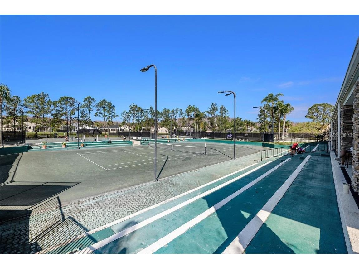 19107 Avenue Bayonnes Lutz FL 33558 TB8382846 image56