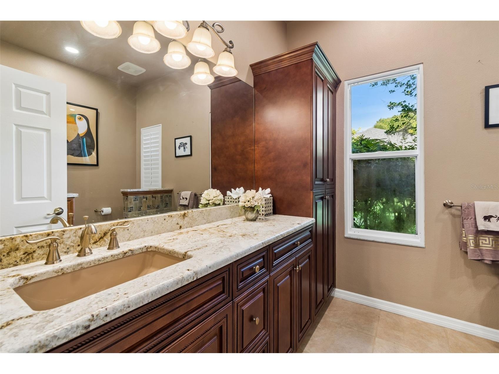 19108 Centre Rose Boulevard Lutz FL 33558 TB8500101 image37