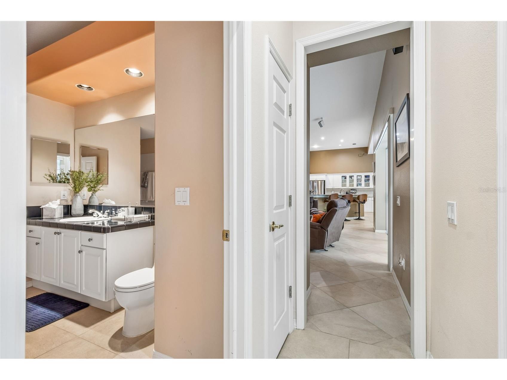 19108 Centre Rose Boulevard Lutz FL 33558 TB8500101 image45