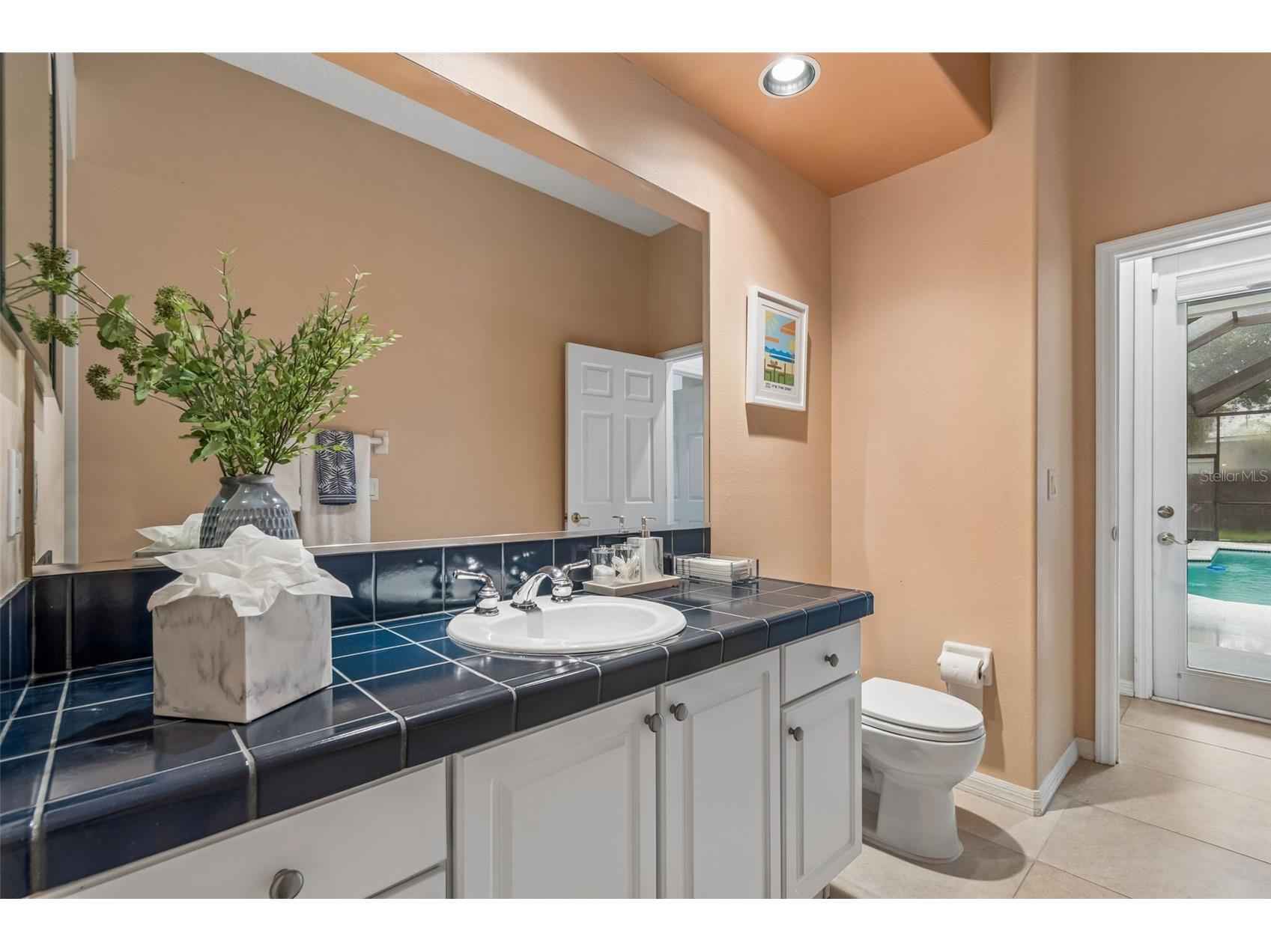 19108 Centre Rose Boulevard Lutz FL 33558 TB8500101 image46