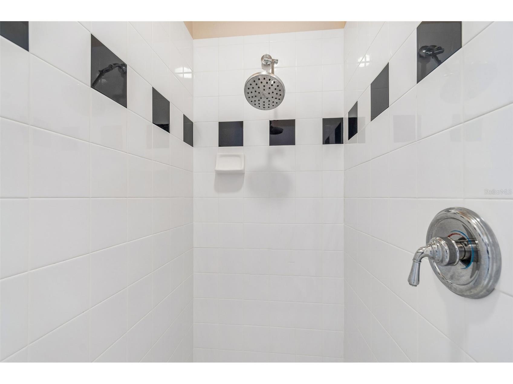 19108 Centre Rose Boulevard Lutz FL 33558 TB8500101 image48