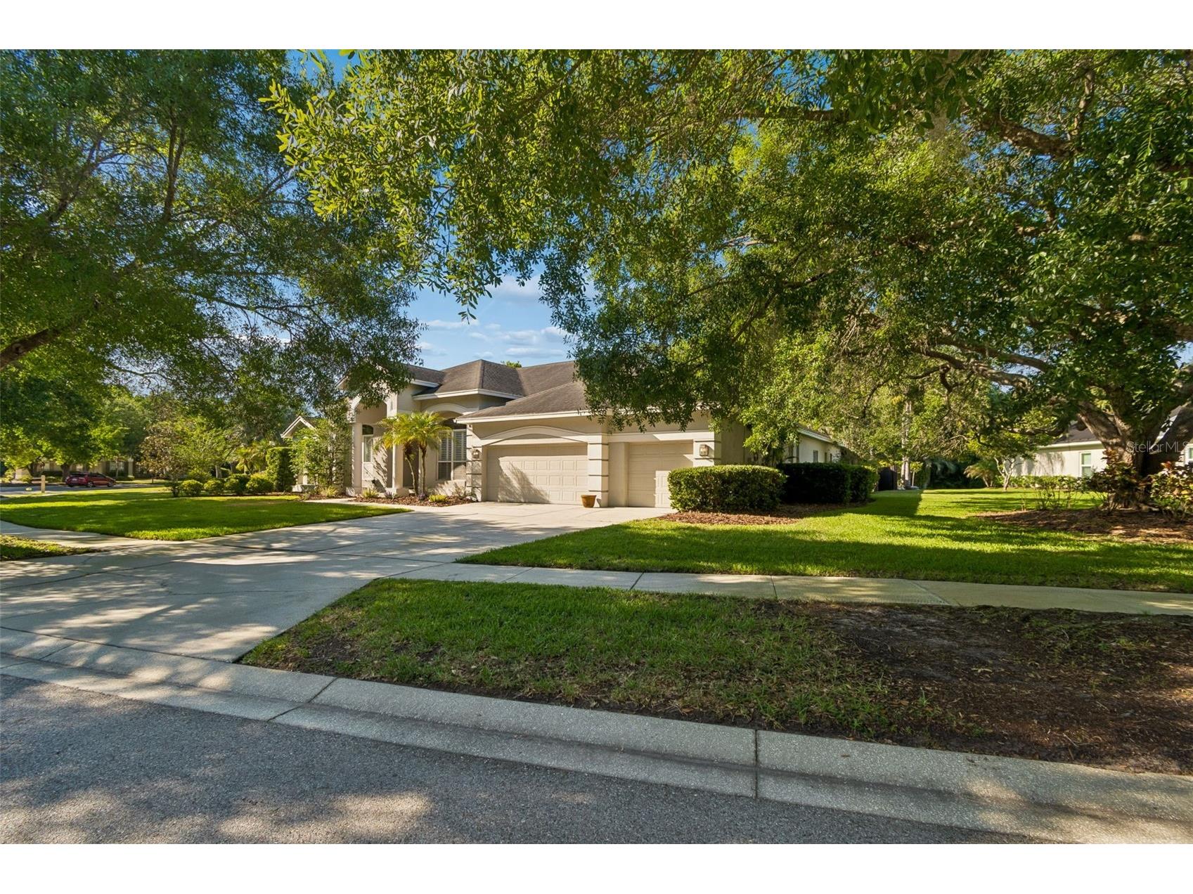 19108 Centre Rose Boulevard Lutz FL 33558 TB8500101 image5