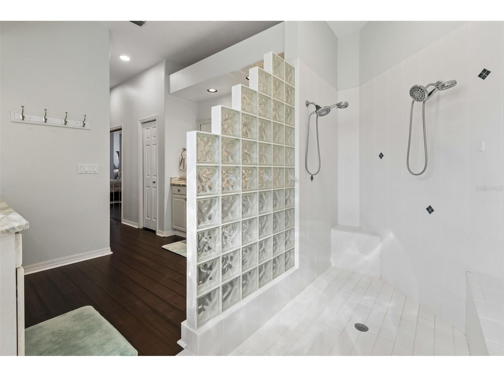 19108 Centre Rose Boulevard Lutz FL 33558 TB8500101 image61