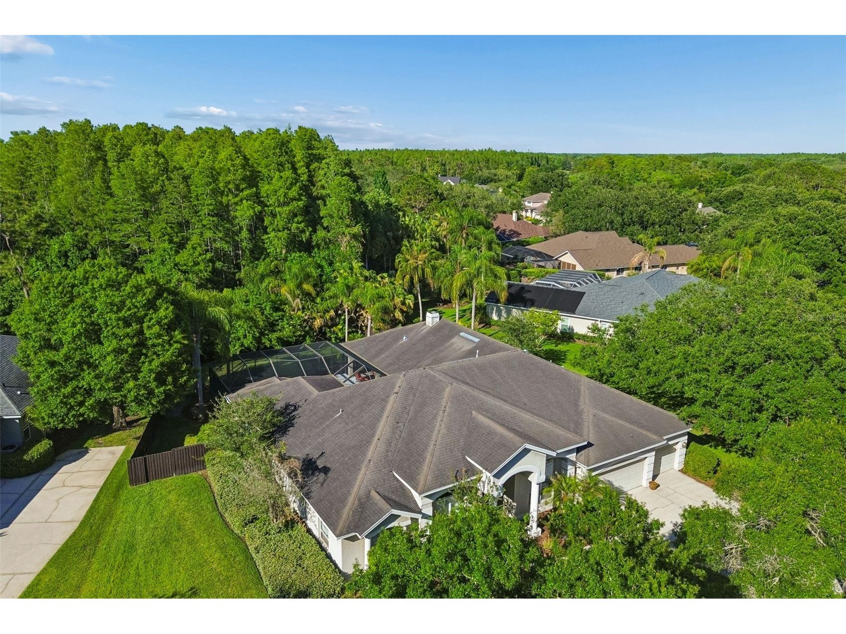 19108 Centre Rose Boulevard Lutz FL 33558 TB8500101 image78