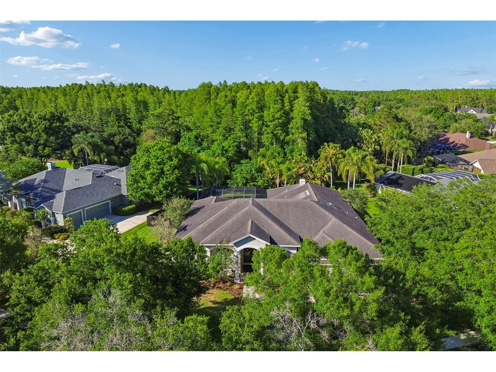 19108 Centre Rose Boulevard Lutz FL 33558 TB8500101 image79