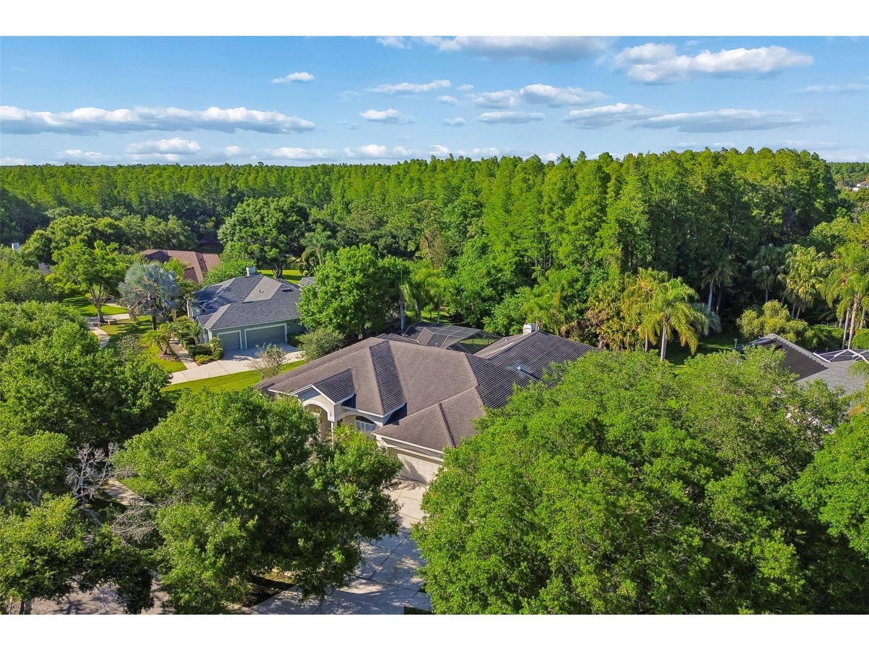 19108 Centre Rose Boulevard Lutz FL 33558 TB8500101 image80