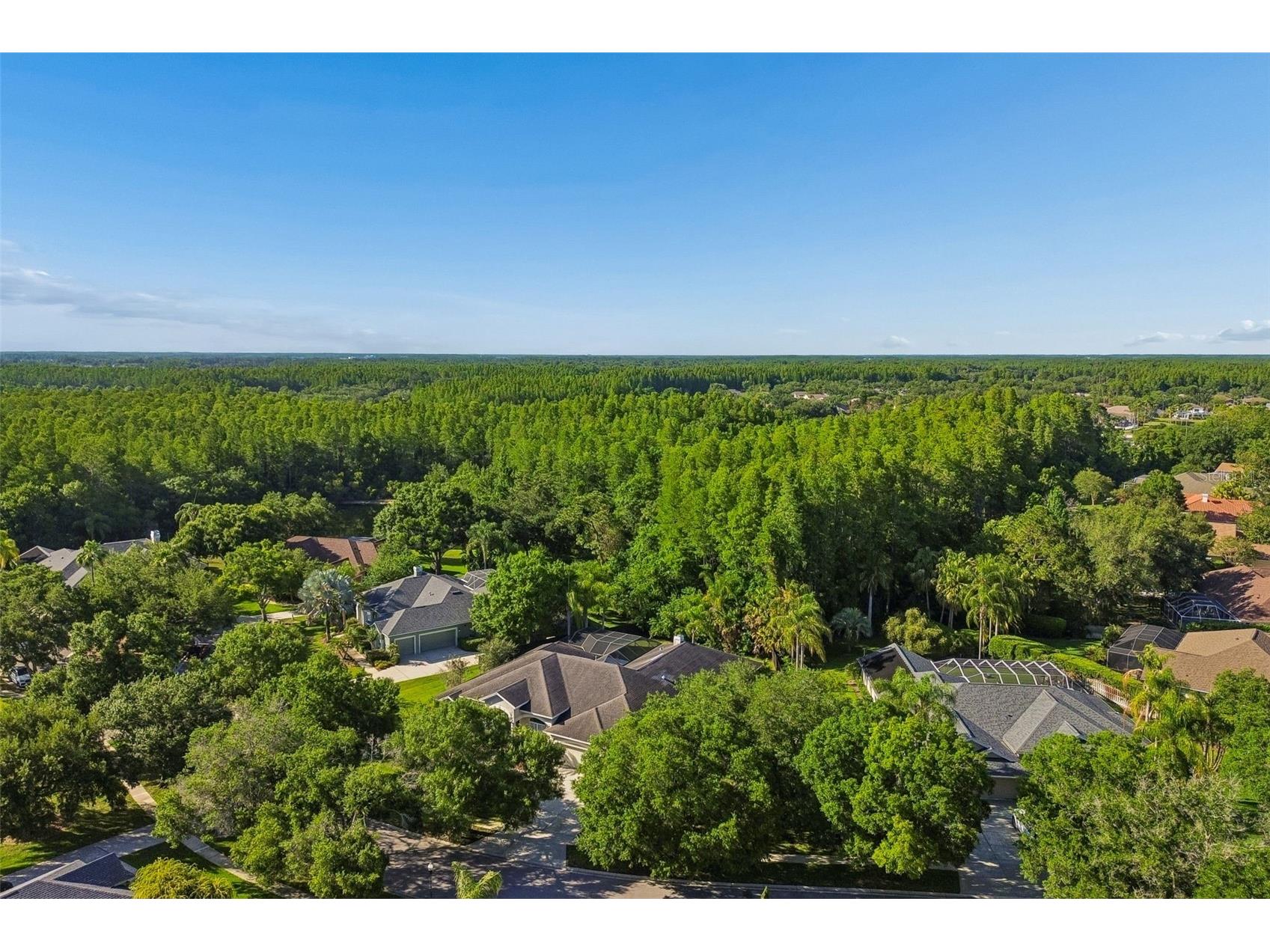 19108 Centre Rose Boulevard Lutz FL 33558 TB8500101 image81