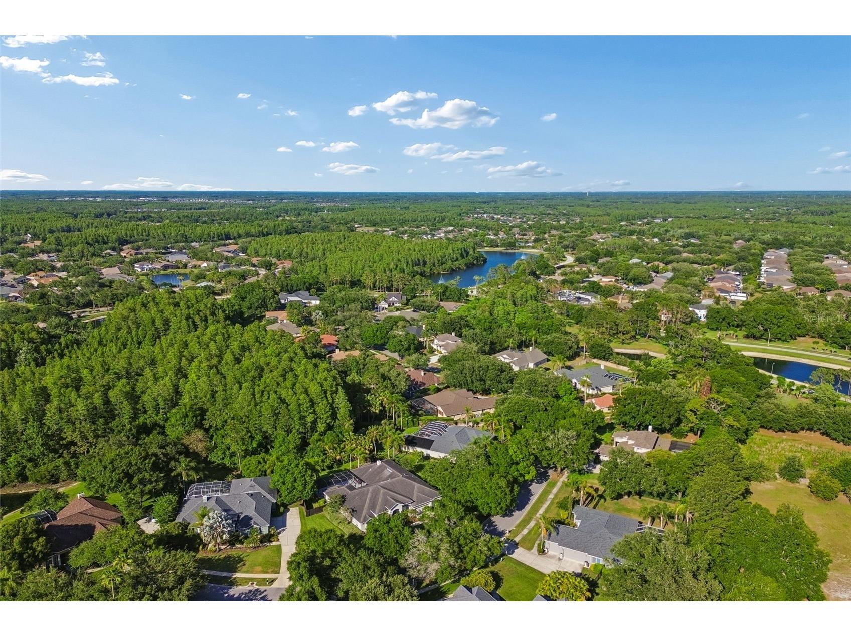 19108 Centre Rose Boulevard Lutz FL 33558 TB8500101 image82