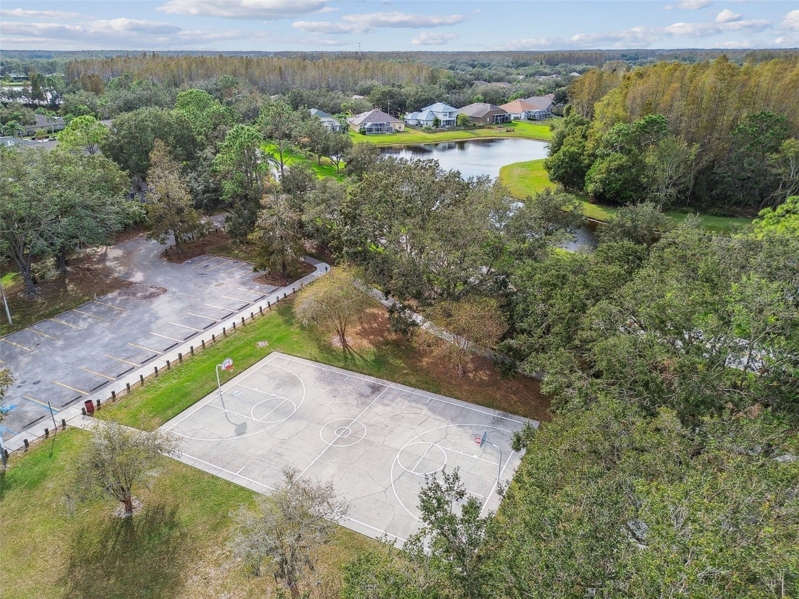 19108 Centre Rose Boulevard Lutz FL 33558 TB8500101 image87
