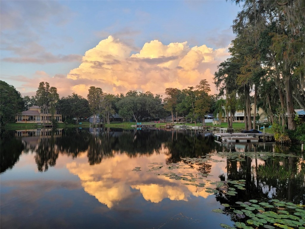 19108 Forrest Drive Odessa FL 33556 - LAKE WOOD U8181023 image1