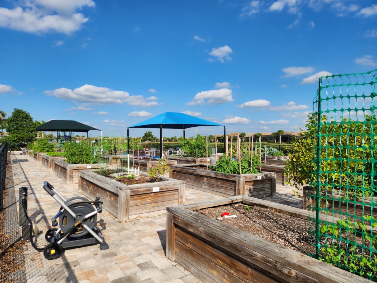 19108 Lappacio Street Venice FL 34293 A4677957 image32