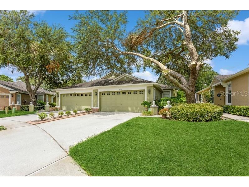 19108 White Wing Place Tampa FL 33647 T3455303 image1