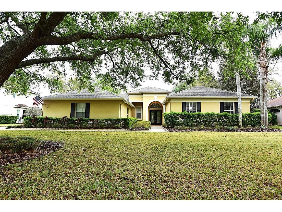 19109 Beckett Drive Odessa FL 33556 W7873888 image1