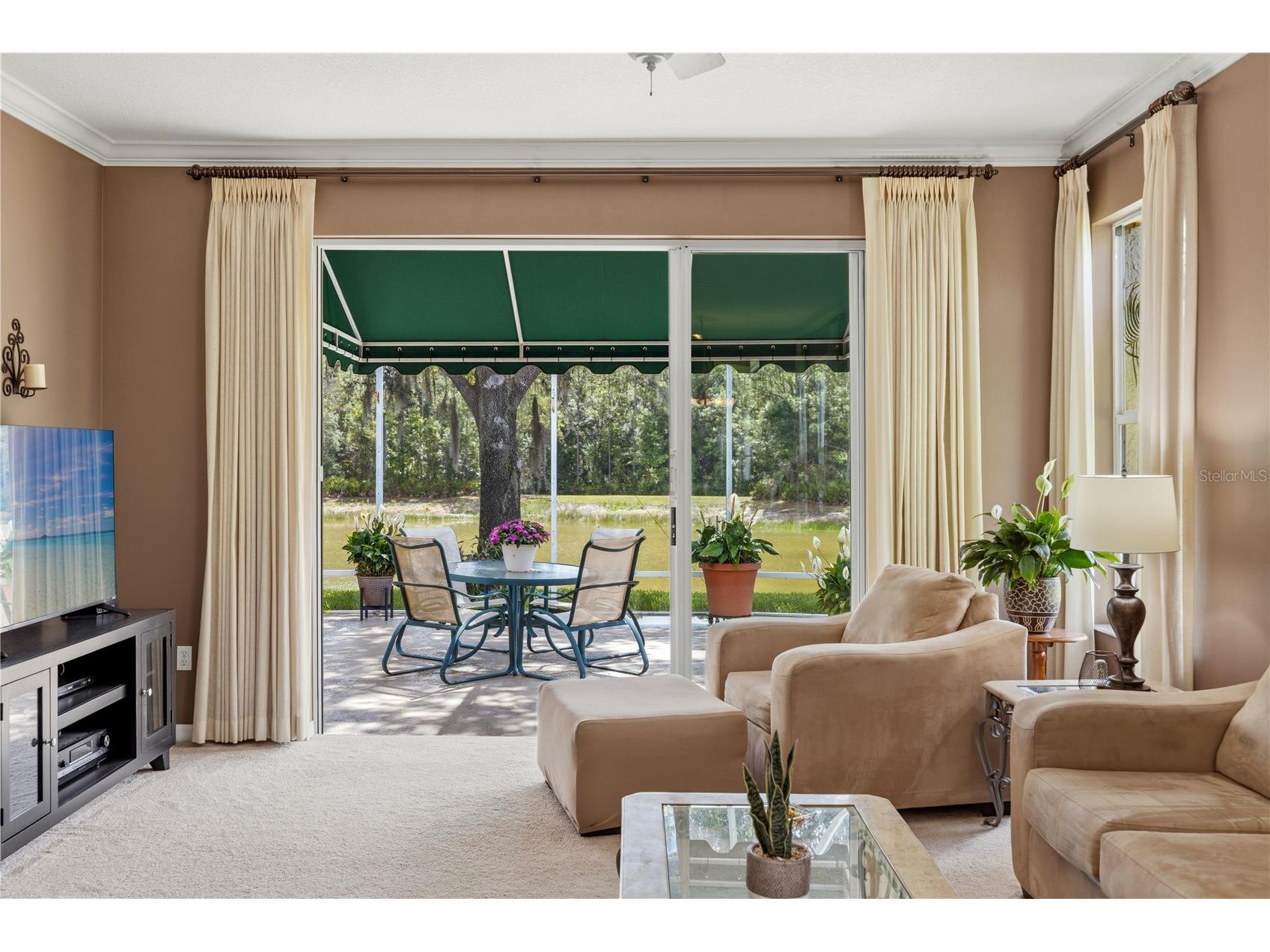 19109 White Wing Place Tampa FL 33647 TB8512299 image13