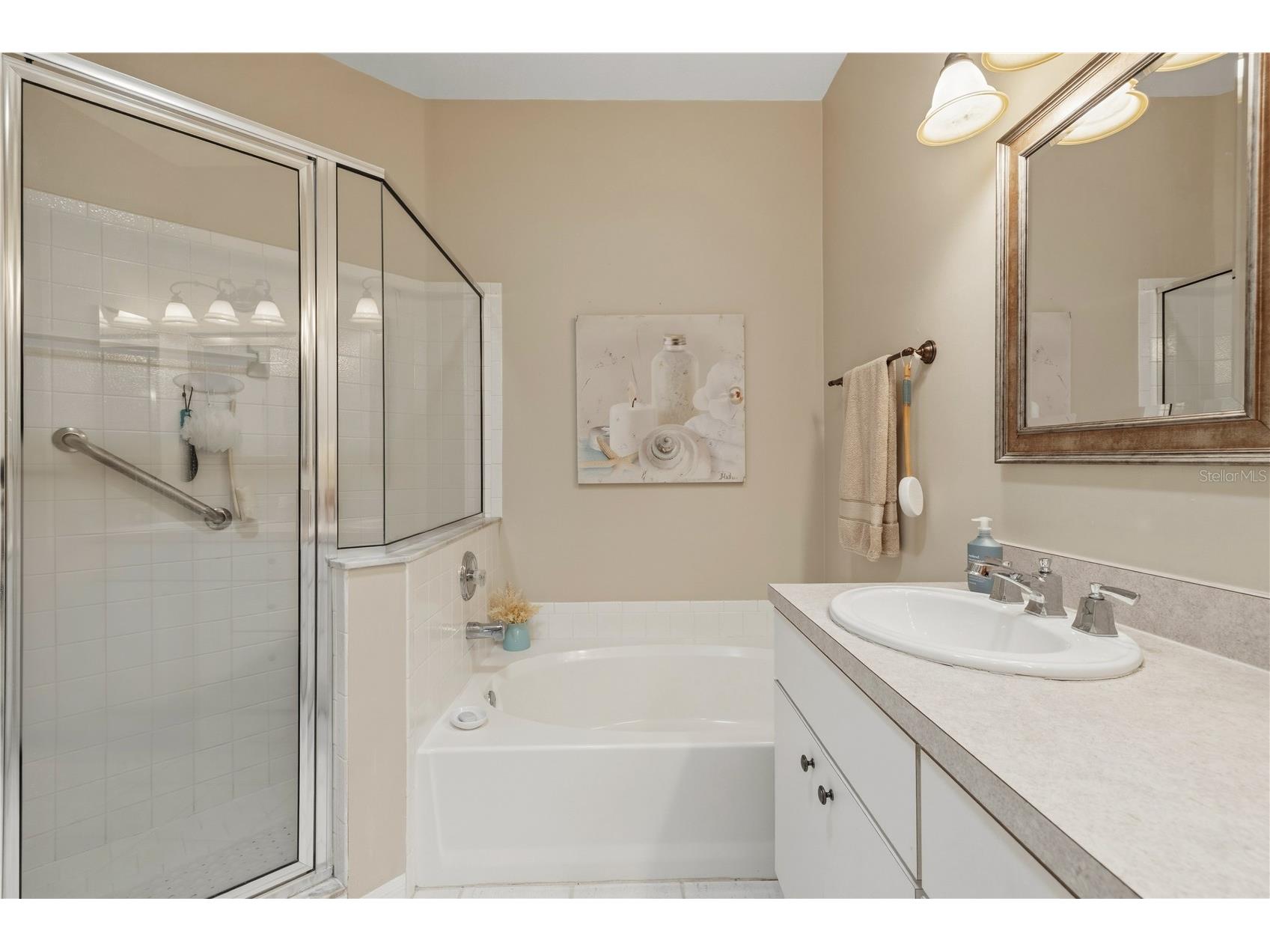 19109 White Wing Place Tampa FL 33647 TB8512299 image26