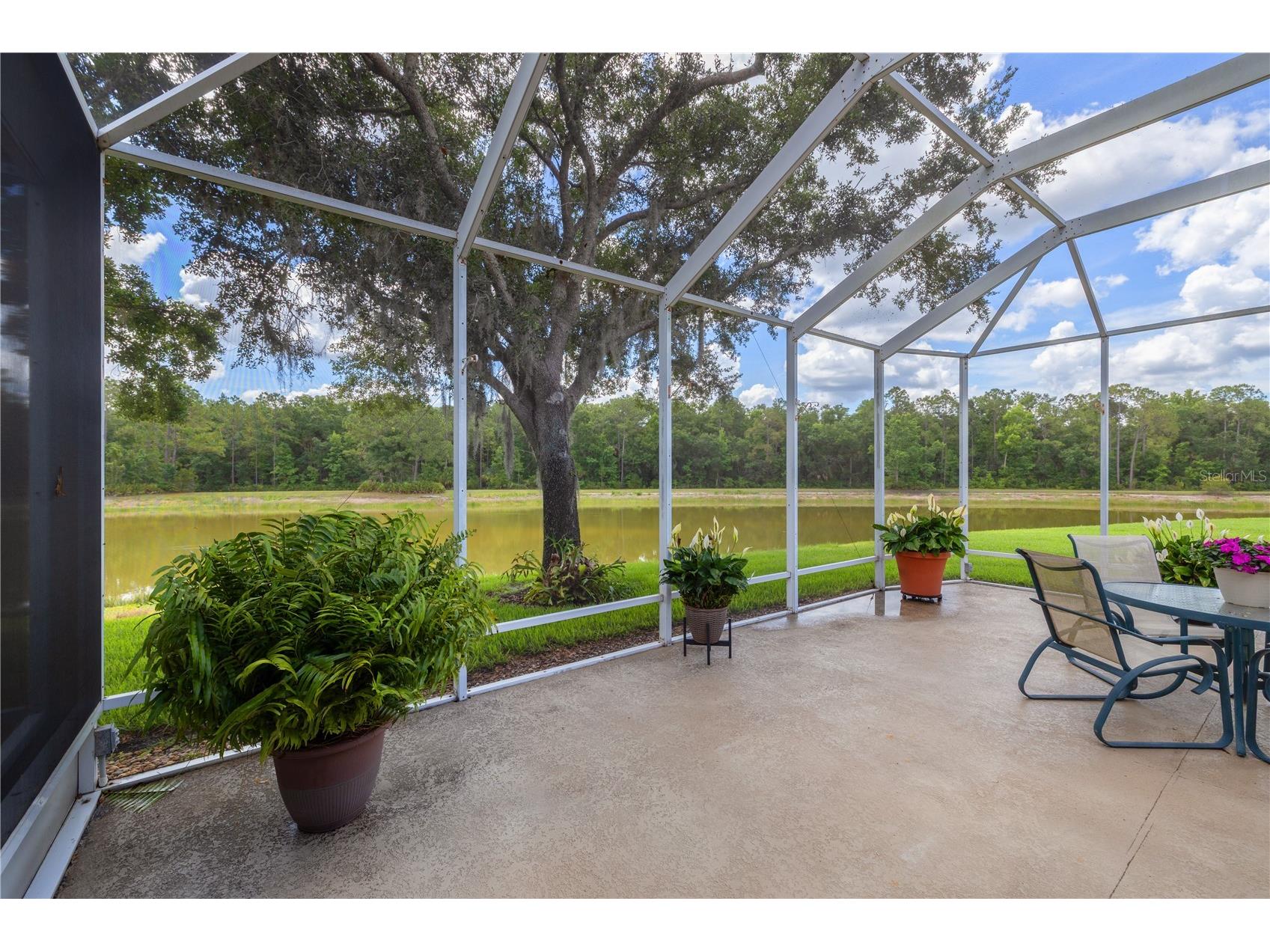 19109 White Wing Place Tampa FL 33647 TB8512299 image38
