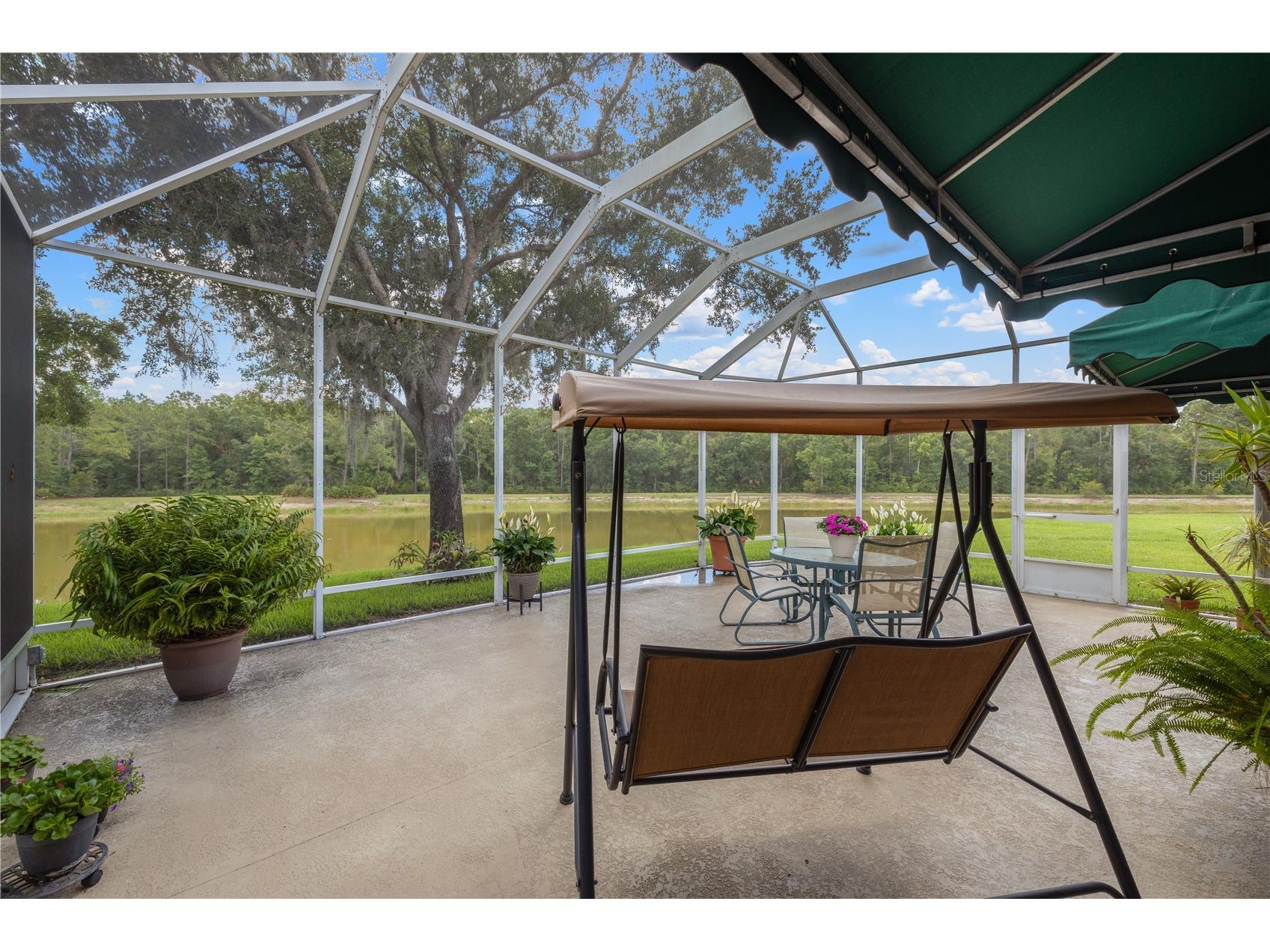 19109 White Wing Place Tampa FL 33647 TB8512299 image39