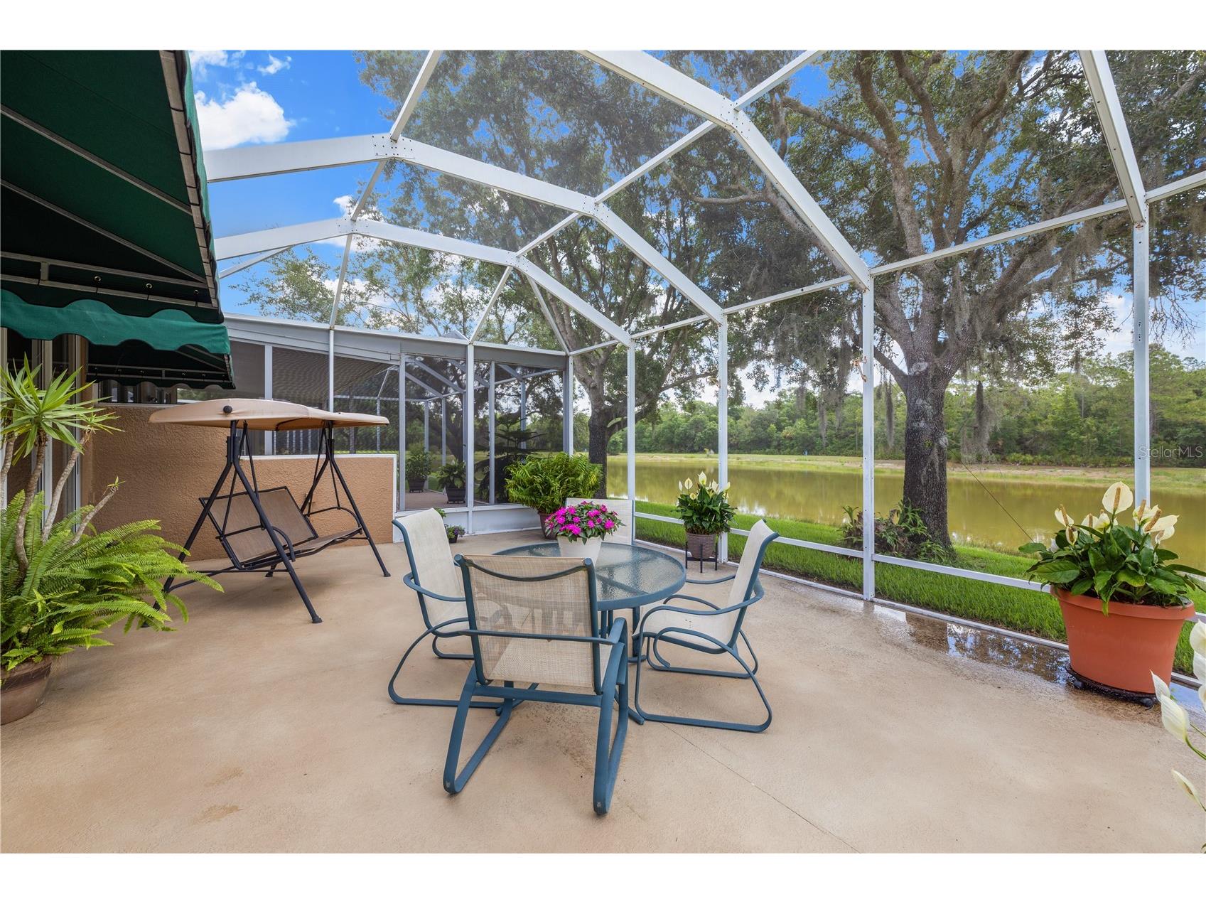 19109 White Wing Place Tampa FL 33647 TB8512299 image42