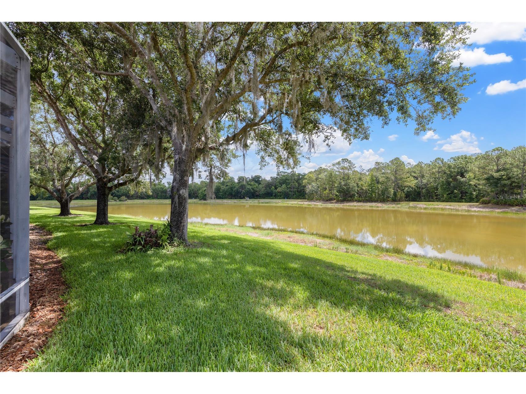 19109 White Wing Place Tampa FL 33647 TB8512299 image43