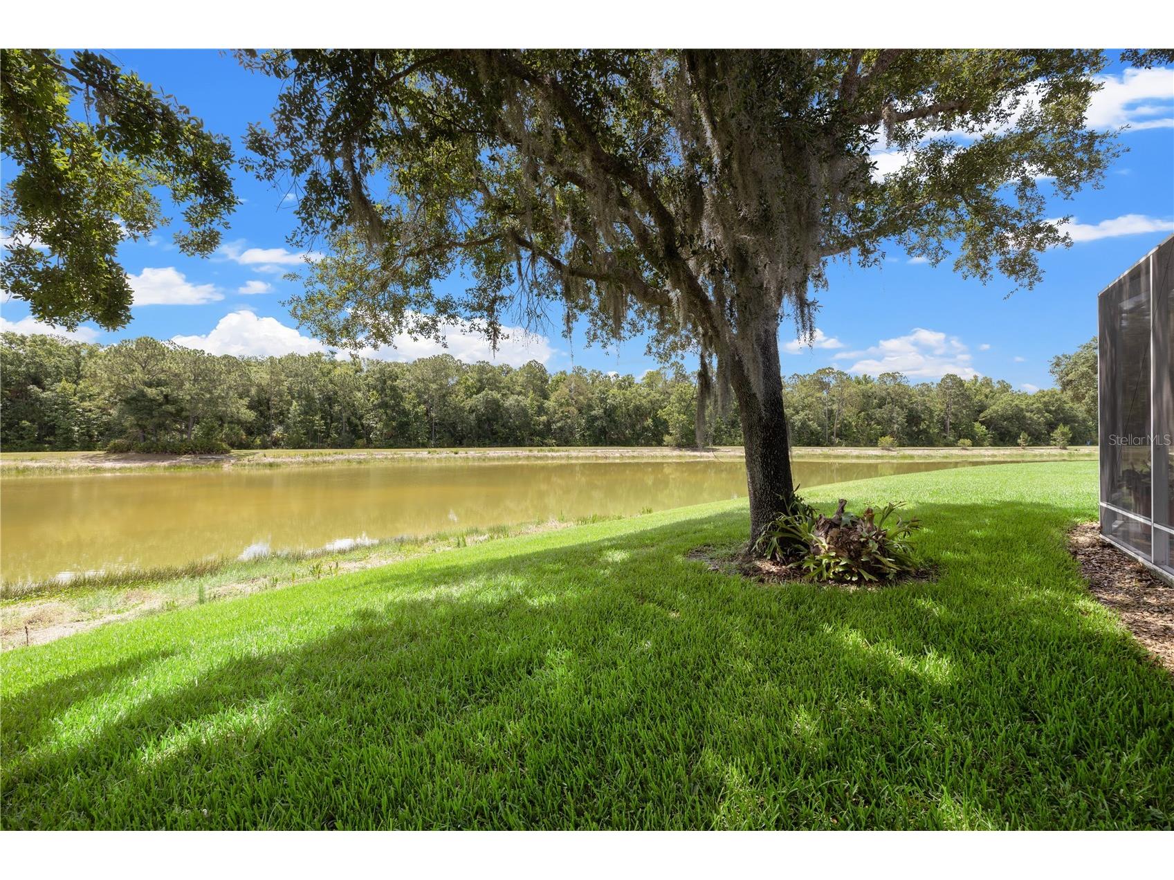 19109 White Wing Place Tampa FL 33647 TB8512299 image44