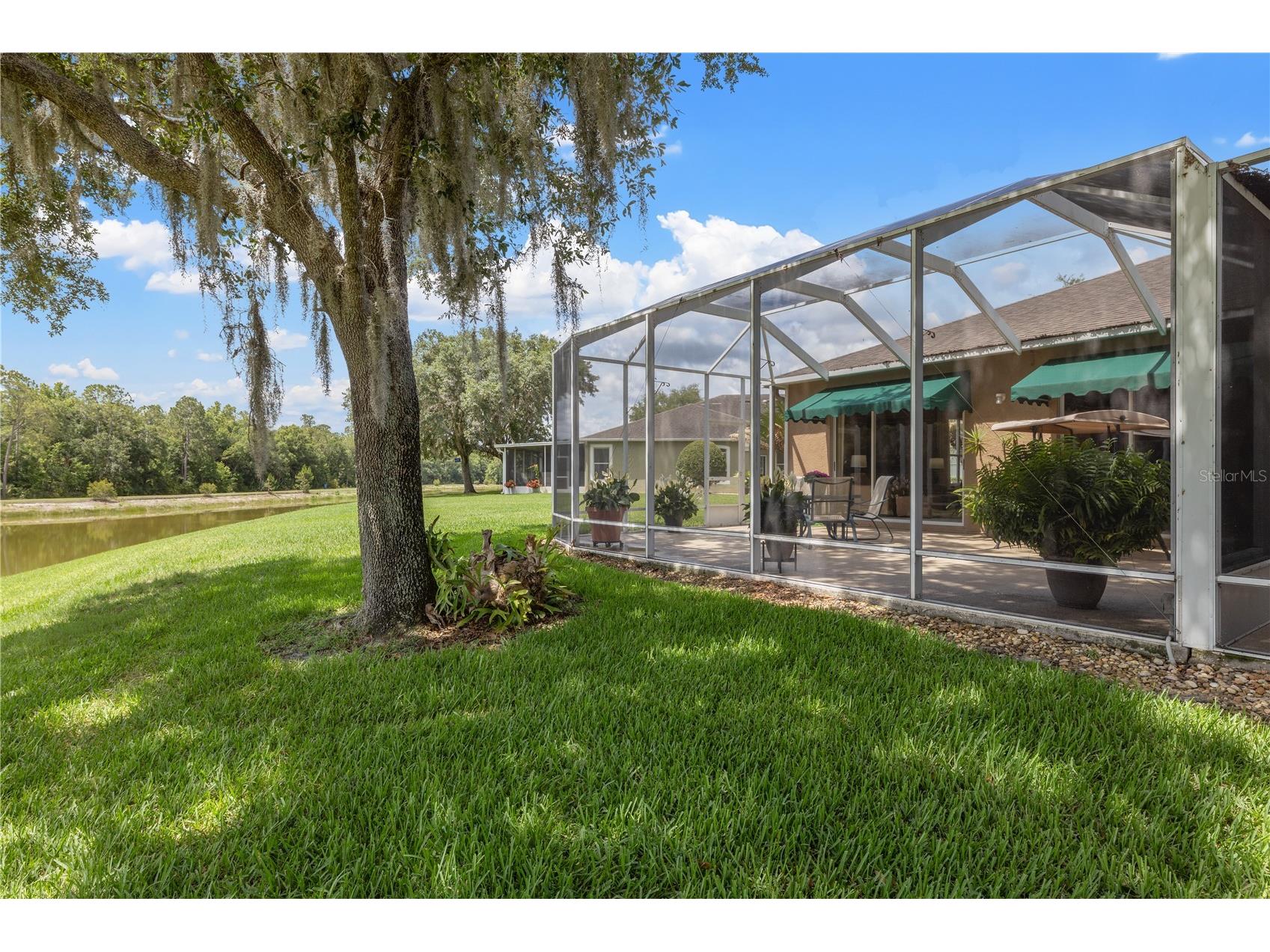 19109 White Wing Place Tampa FL 33647 TB8512299 image45