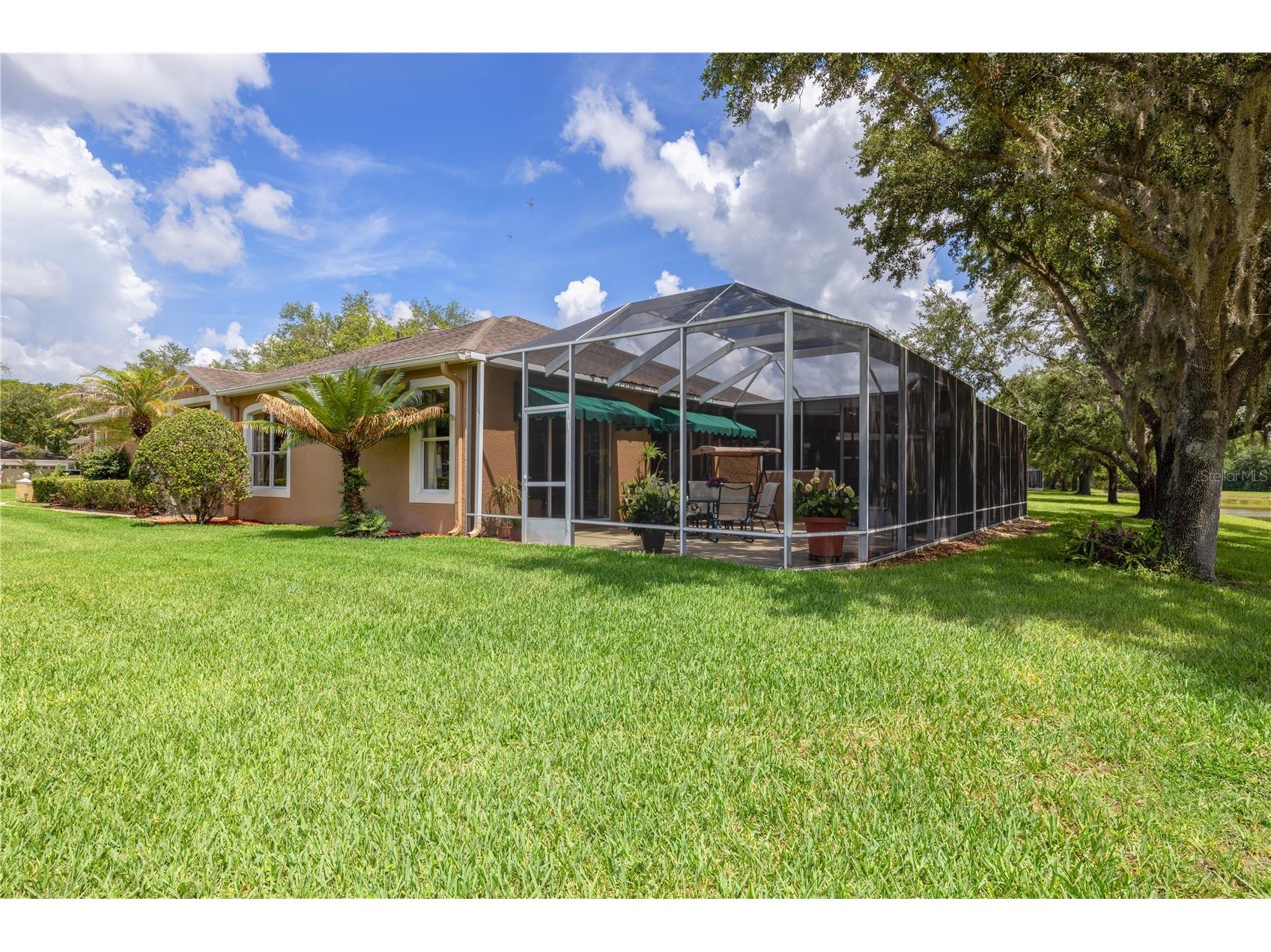 19109 White Wing Place Tampa FL 33647 TB8512299 image46