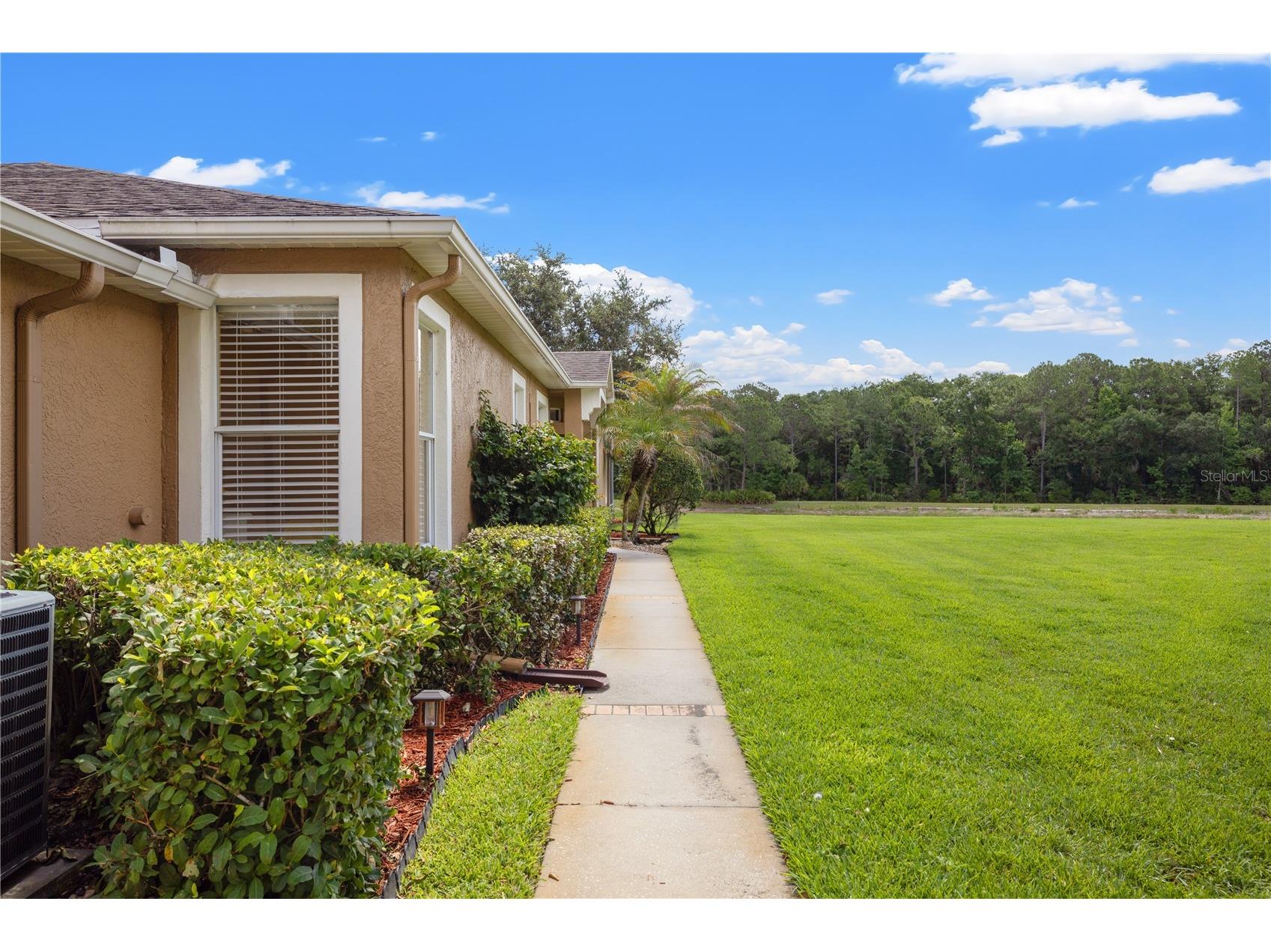 19109 White Wing Place Tampa FL 33647 TB8512299 image6