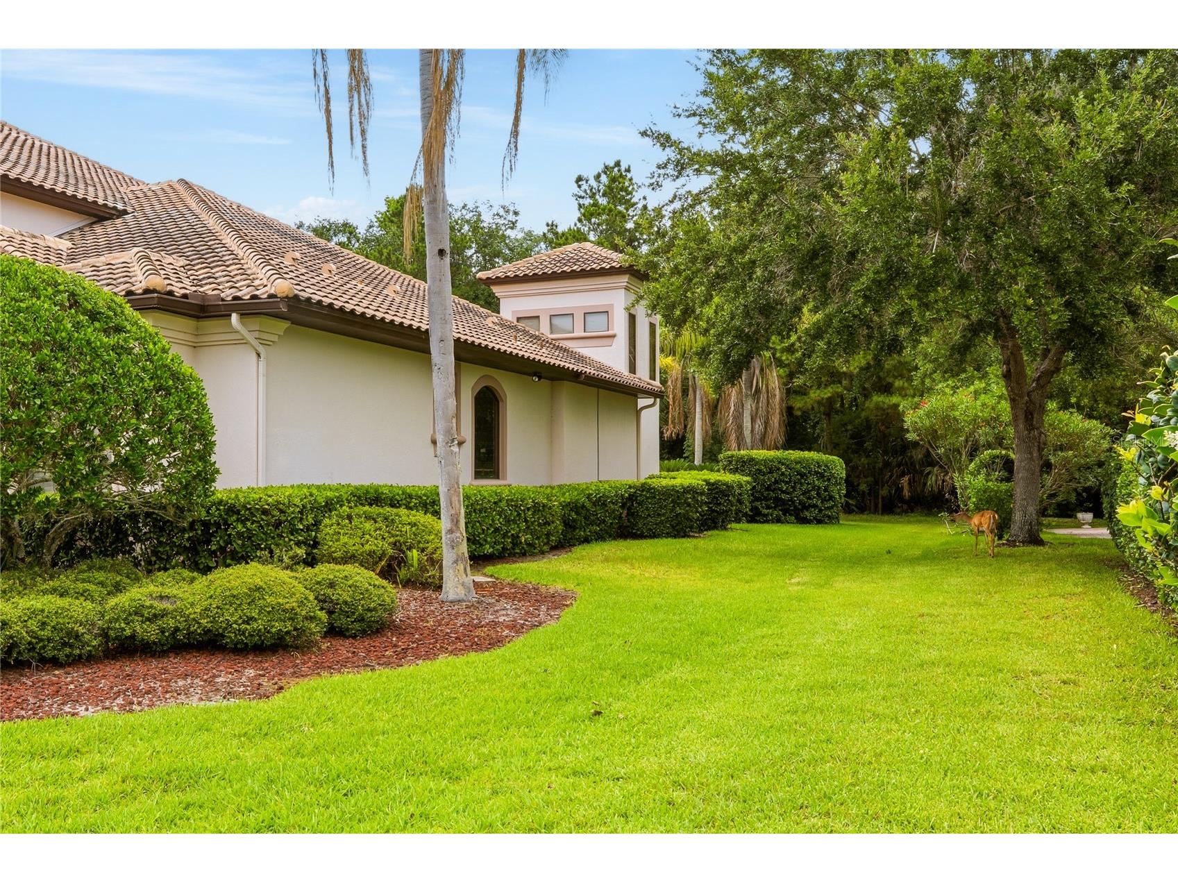 1911 Bridgewater Drive Lake Mary FL 32746 O6412030 image72