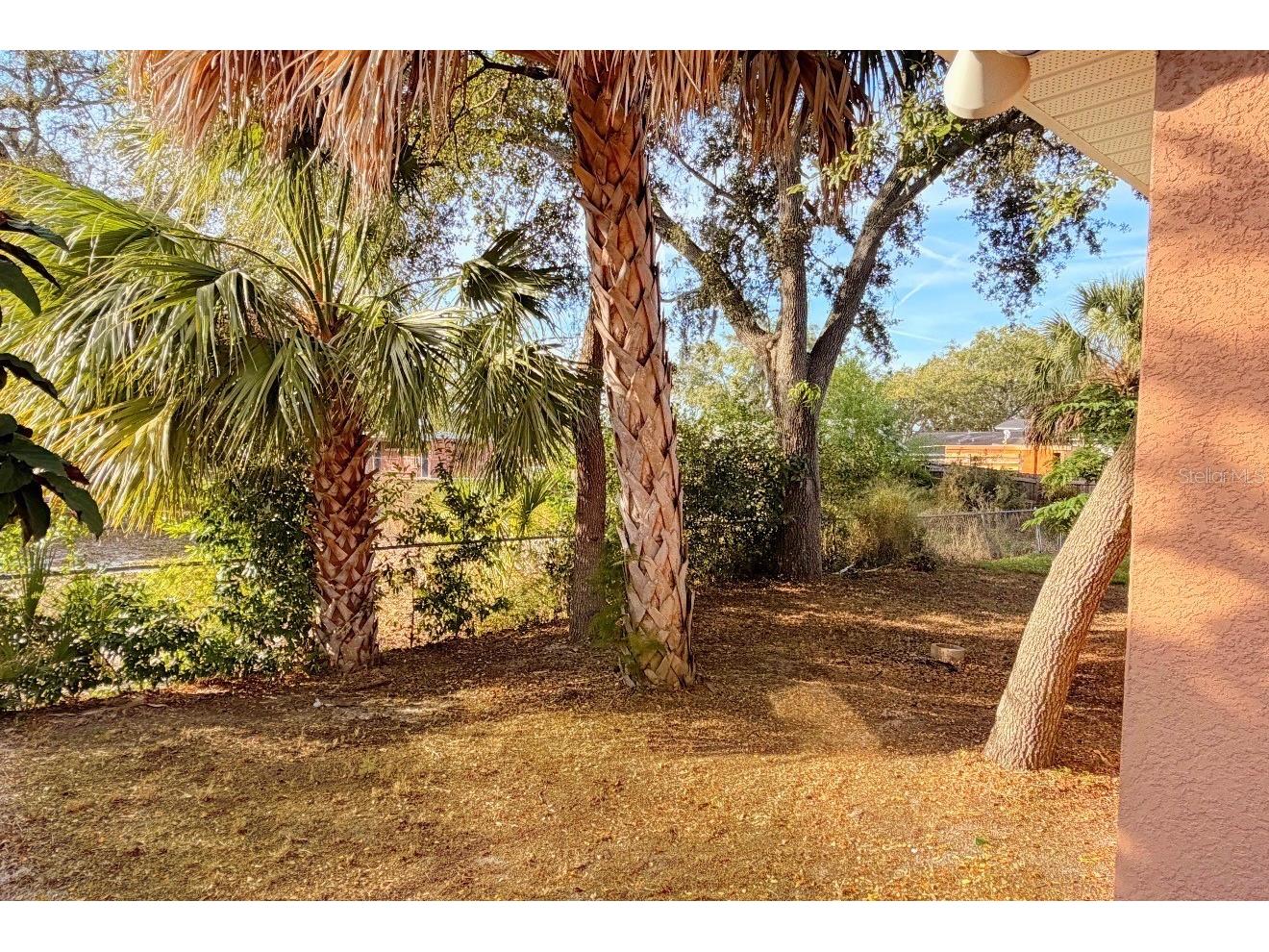 1911 Brown Street NE Winter Haven FL 33881 O6373193 image11