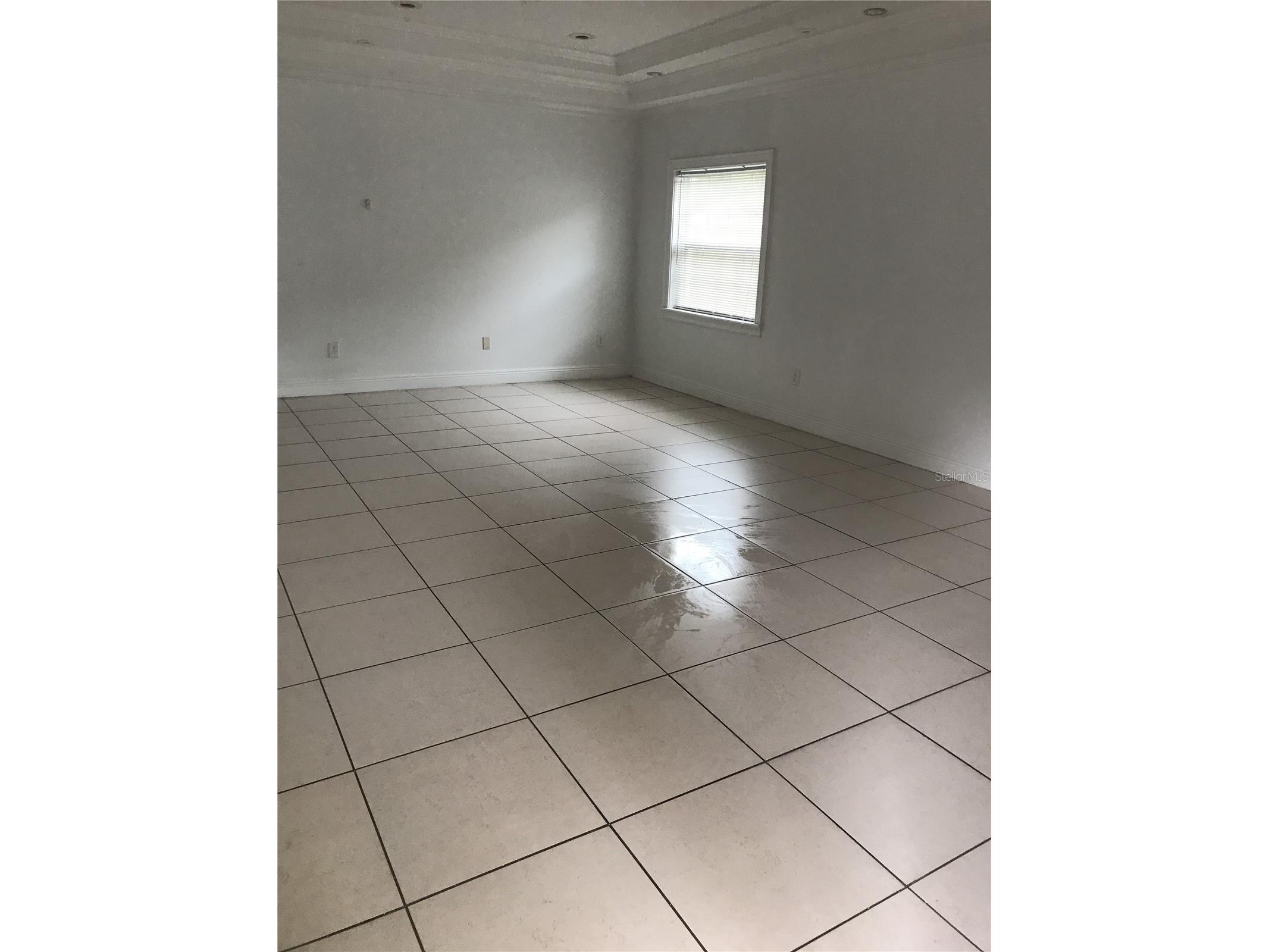 1911 May Street Brandon FL 33510 O6404930 image3
