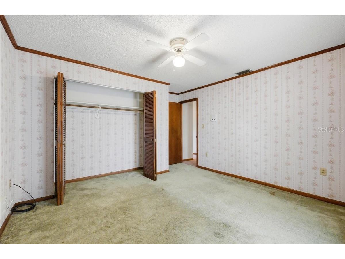 1911 Michelle Lane Lakeland FL 33813 A4689818 image33