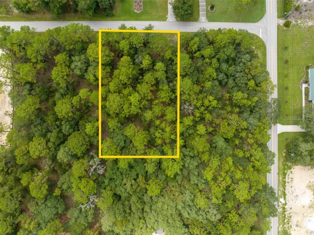 1911 W Stafford Street Hernando FL 34442 W7848159 image1