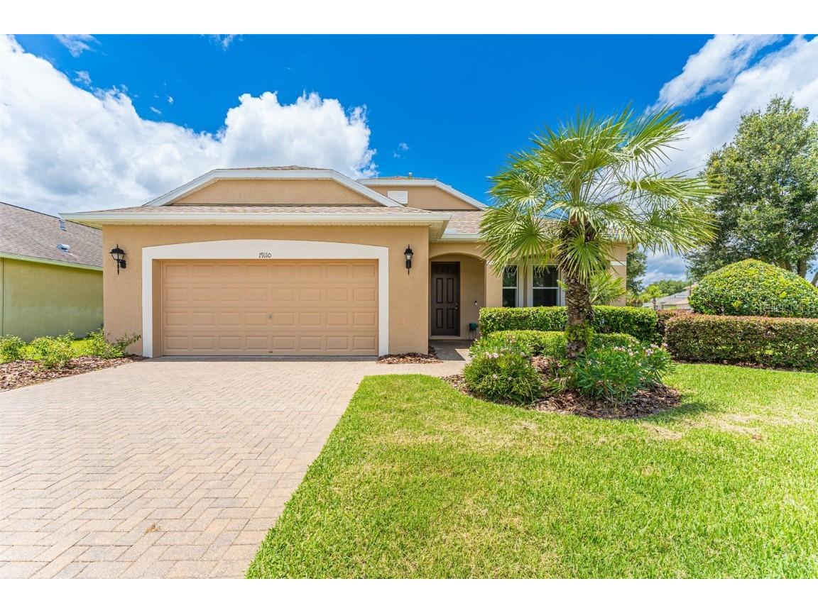 19110 Sunset Bay Drive Land O Lakes FL 34638 T3451827 image1
