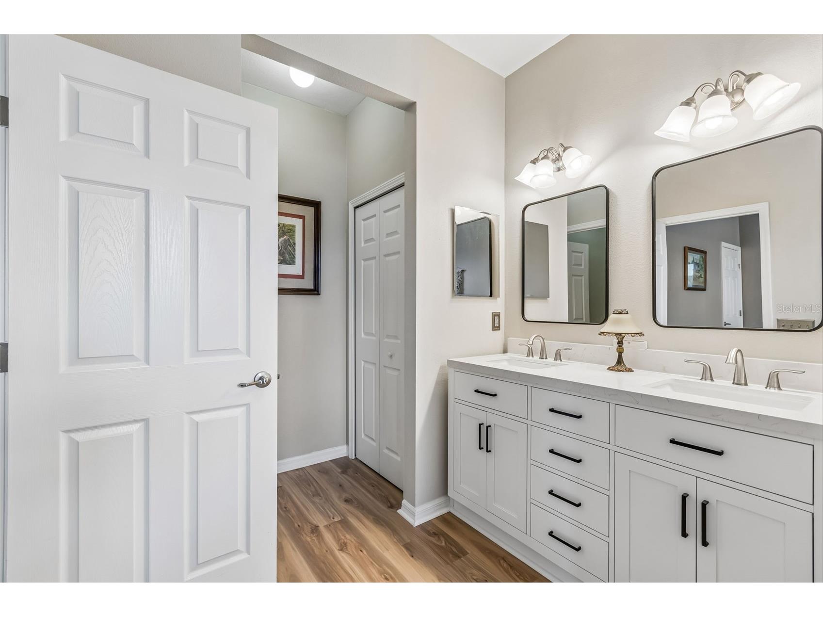 19110 Sunset Bay Drive Land O Lakes FL 34638 TB8492772 image16