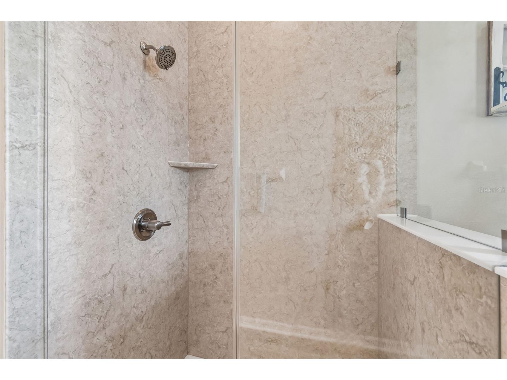19110 Sunset Bay Drive Land O Lakes FL 34638 TB8492772 image18