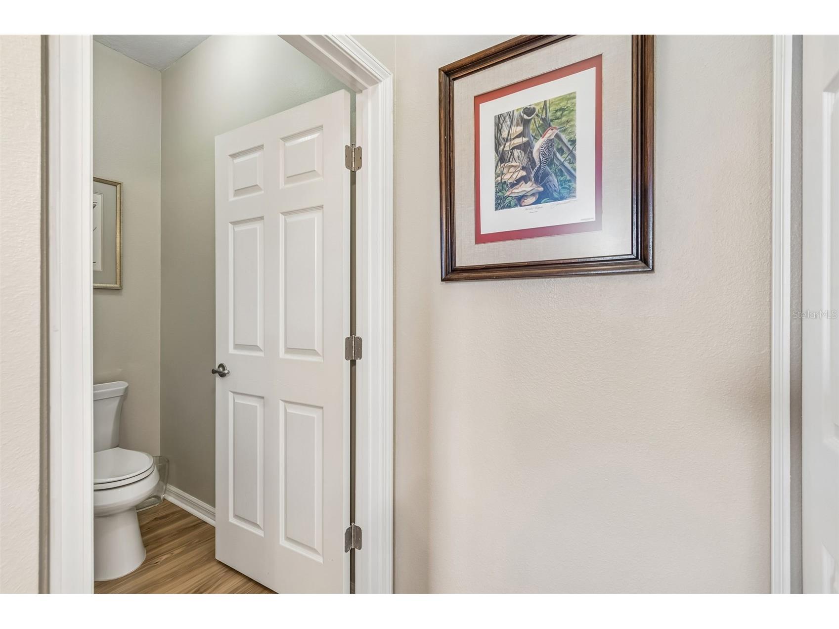 19110 Sunset Bay Drive Land O Lakes FL 34638 TB8492772 image21
