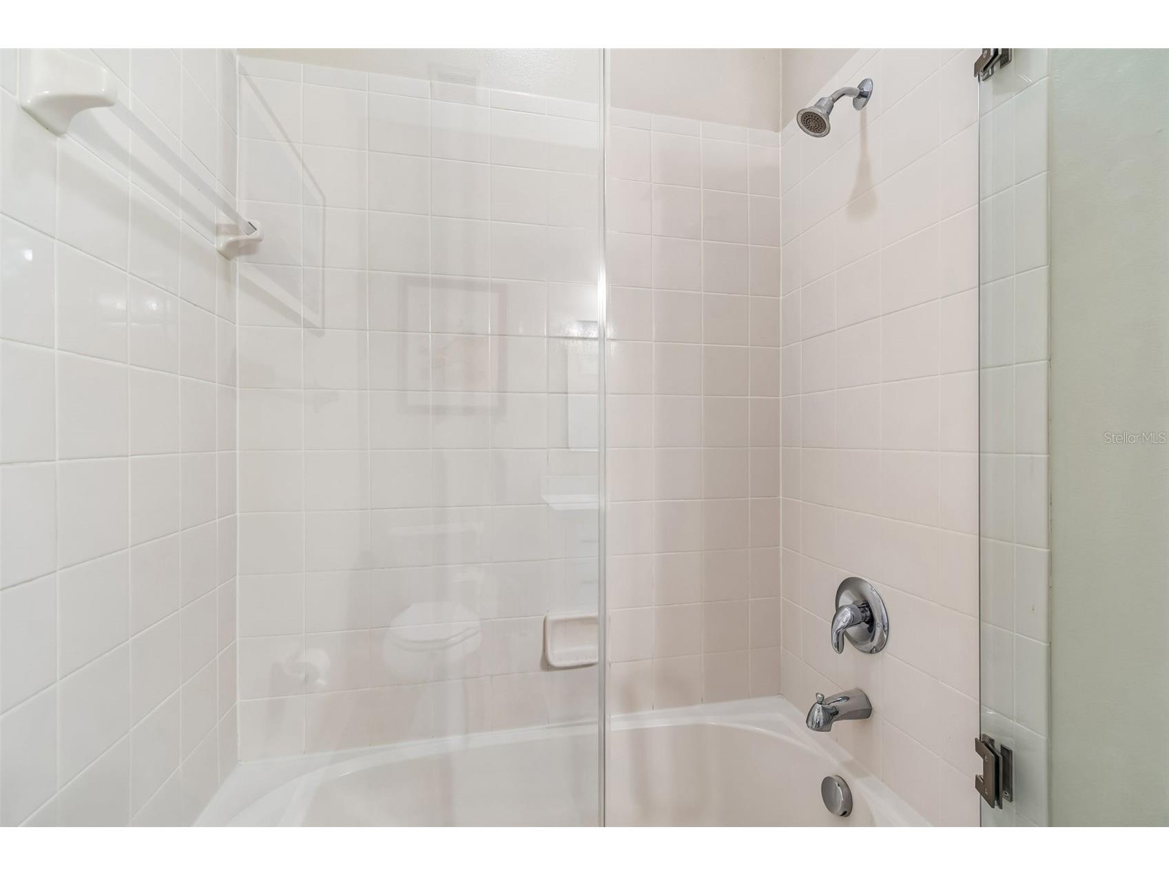 19110 Sunset Bay Drive Land O Lakes FL 34638 TB8492772 image28