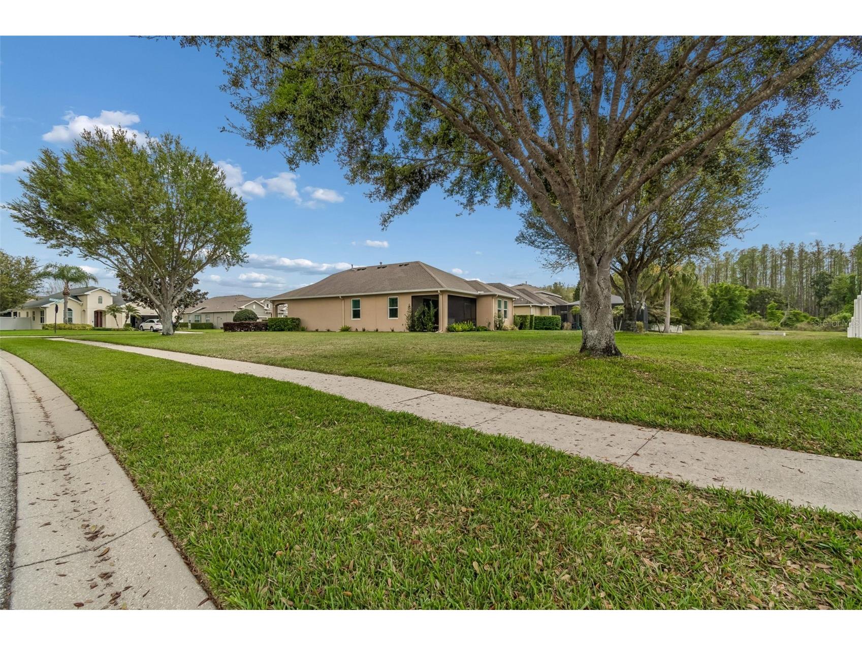 19110 Sunset Bay Drive Land O Lakes FL 34638 TB8492772 image45