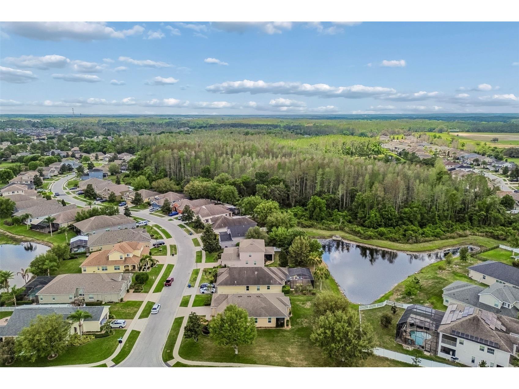 19110 Sunset Bay Drive Land O Lakes FL 34638 TB8492772 image53